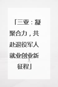 三亚：凝聚合力，共赴退役军人就业创业新征程