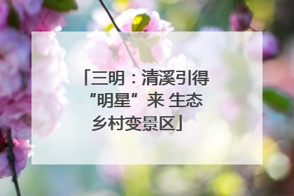 三明：清溪引得“明星”来 生态乡村变景区