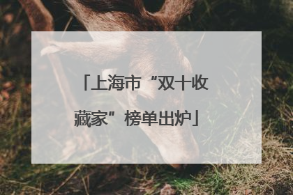 上海市“双十收藏家”榜单出炉