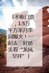 不收门票，1.5万平方米月季园爆火！一起去三好桥头看“龙凤呈祥”