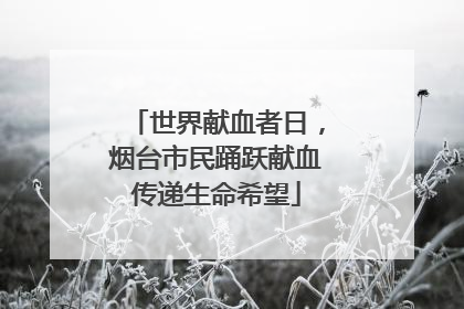 世界献血者日，烟台市民踊跃献血传递生命希望