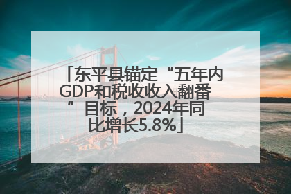 东平县锚定“五年内GDP和税收收入翻番”目标，2024年同比增长5.8%