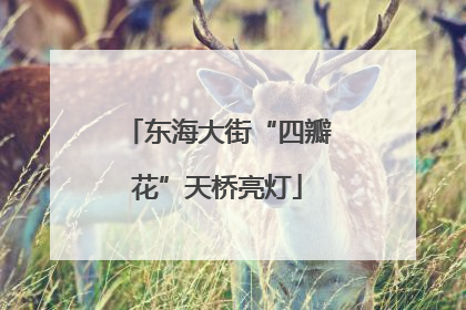 东海大街“四瓣花”天桥亮灯