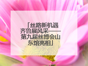 丝路新机遇 齐鲁展风采——第九届丝博会山东馆亮相
