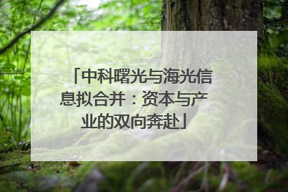 中科曙光与海光信息拟合并：资本与产业的双向奔赴