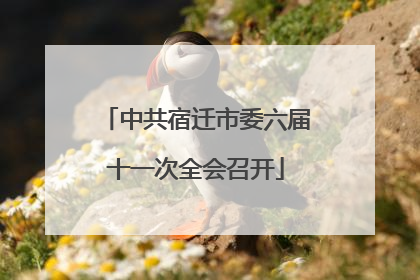 中共宿迁市委六届十一次全会召开
