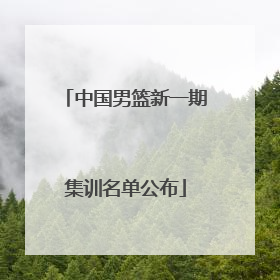中国男篮新一期集训名单公布