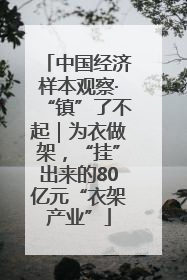 中国经济样本观察·“镇”了不起｜为衣做架，“挂”出来的80亿元“衣架产业”