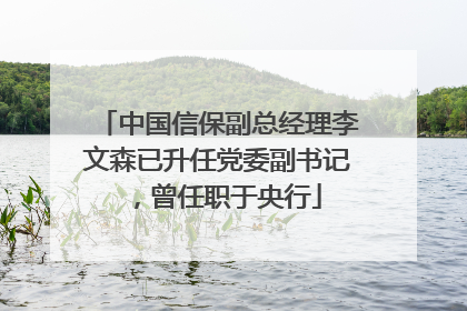 中国信保副总经理李文森已升任党委副书记，曾任职于央行