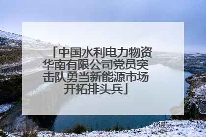 中国水利电力物资华南有限公司党员突击队勇当新能源市场开拓排头兵