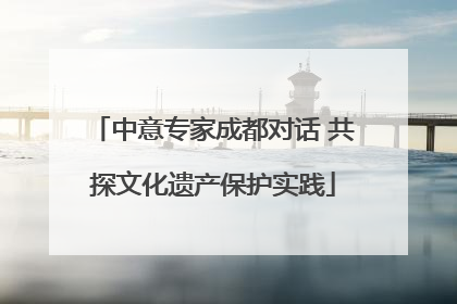 中意专家成都对话 共探文化遗产保护实践