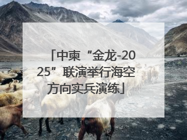 中柬“金龙-2025”联演举行海空方向实兵演练