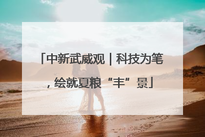 中新武威观｜科技为笔，绘就夏粮“丰”景