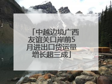 中越边境广西友谊关口岸前5月进出口货运量增长超三成