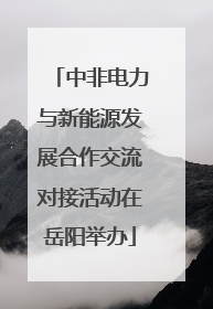 中非电力与新能源发展合作交流对接活动在岳阳举办