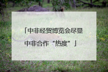 中非经贸博览会尽显中非合作“热度”