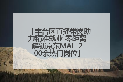 丰台区直播带岗助力精准就业 零距离解锁京东MALL200余热门岗位