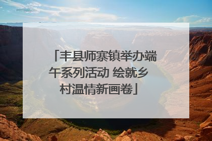 丰县师寨镇举办端午系列活动 绘就乡村温情新画卷