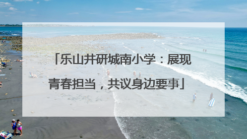 乐山井研城南小学：展现青春担当，共议身边要事