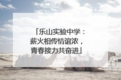 乐山实验中学：薪火相传情谊浓，青春接力共奋进