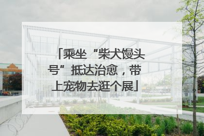 乘坐“柴犬馒头号”抵达治愈，带上宠物去逛个展