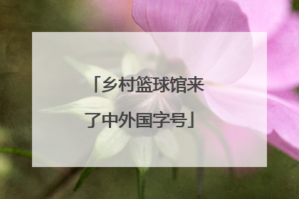 乡村篮球馆来了中外国字号