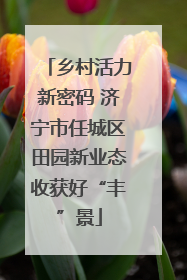 乡村活力新密码 济宁市任城区田园新业态收获好“丰”景