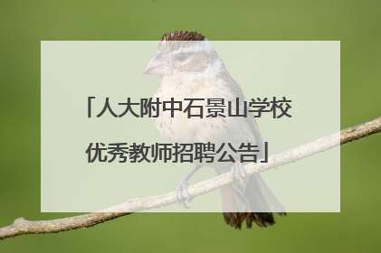 人大附中石景山学校优秀教师招聘公告