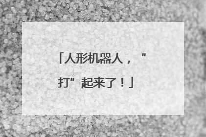 人形机器人，“打”起来了！
