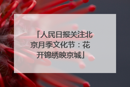 人民日报关注北京月季文化节：花开锦绣映京城