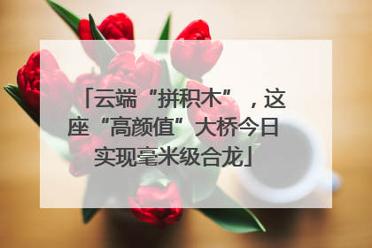 云端“拼积木”，这座“高颜值”大桥今日实现毫米级合龙