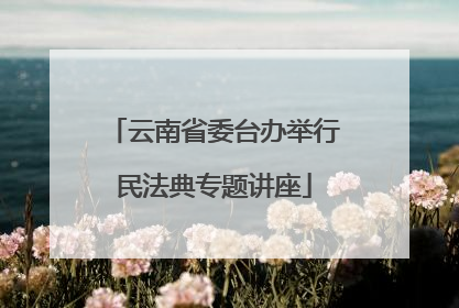 云南省委台办举行民法典专题讲座