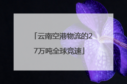 云南空港物流的27万吨全球竞速