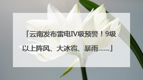 云南发布雷电Ⅳ级预警！9级以上阵风、大冰雹、暴雨……