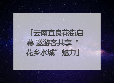 云南宜良花街启幕 邀游客共享“花乡水城”魅力