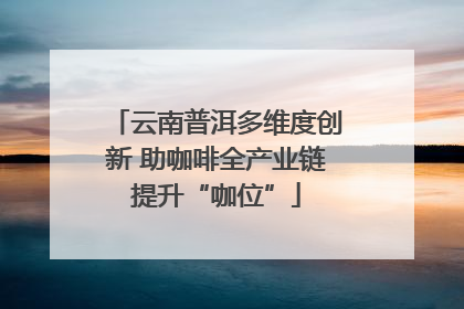 云南普洱多维度创新 助咖啡全产业链提升“咖位”
