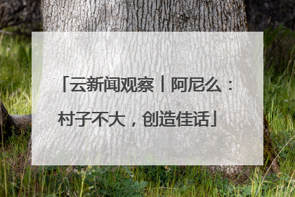 云新闻观察︱阿尼么：村子不大，创造佳话