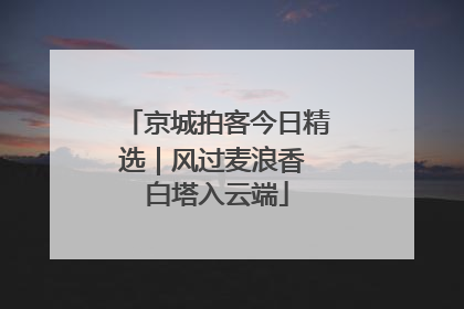京城拍客今日精选｜风过麦浪香 白塔入云端