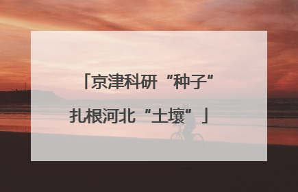 京津科研“种子”扎根河北“土壤”