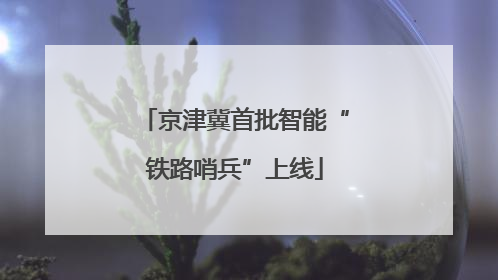 京津冀首批智能“铁路哨兵”上线