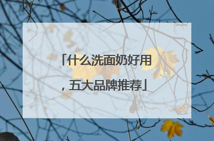 什么洗面奶好用，五大品牌推荐
