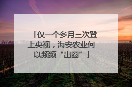 仅一个多月三次登上央视，海安农业何以频频“出圈”