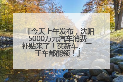 今天上午发布,沈阳5000万元汽车消费补贴来了!买新车、二手车都能领!