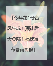 今年第1号台风生成！预计后天登陆！福建发布暴雨警报
