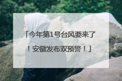 今年第1号台风要来了！安徽发布双预警！