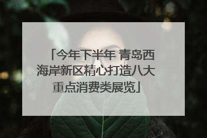 今年下半年 青岛西海岸新区精心打造八大重点消费类展览