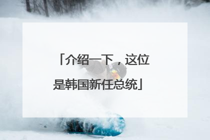 介绍一下，这位是韩国新任总统