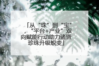 从“珠”到“宝”，“平台+产业”双向赋能行动助力诸暨珍珠升级蜕变