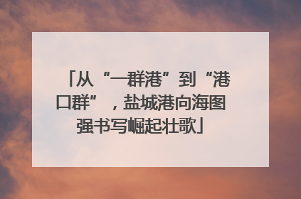 从“一群港”到“港口群”，盐城港向海图强书写崛起壮歌