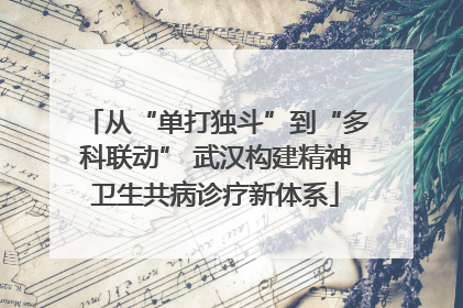 从“单打独斗”到“多科联动” 武汉构建精神卫生共病诊疗新体系